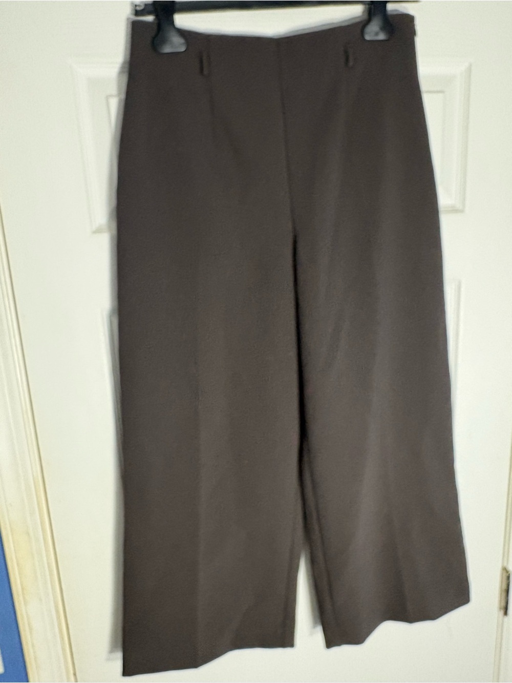 Zara Wide-Leg Pants in Dark Brown